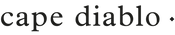 Cape Diablo Wholesale logo