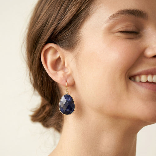 Blue Horizon Blue Vein Drop Earrings